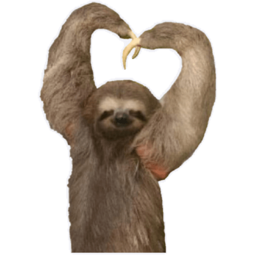 Heart 8