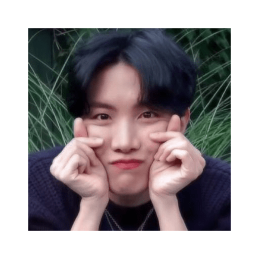 Bts soft 24