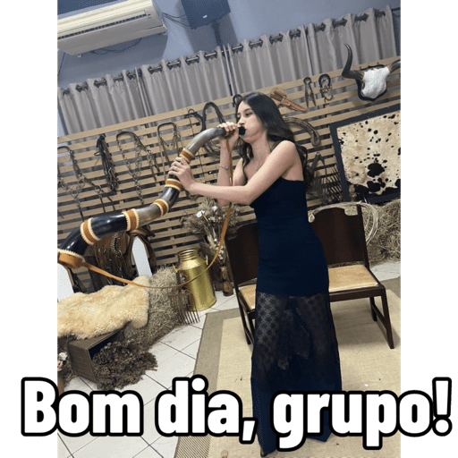 Minhas figurinhas