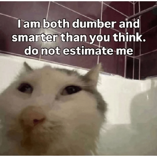 Cat Memes -3