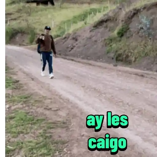 Hecho x mi 20