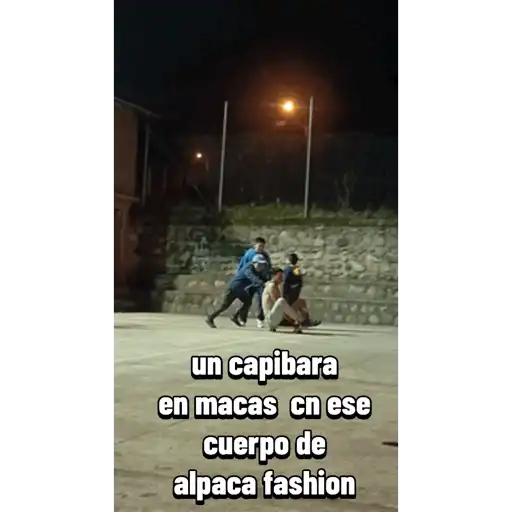 Hecho x mi 13