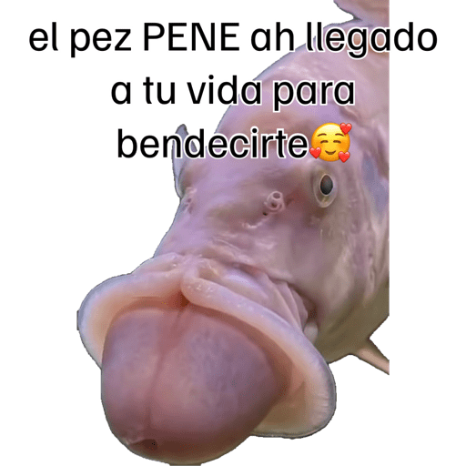 Mis pegatinas 16