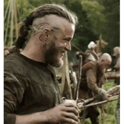 Vikings 28