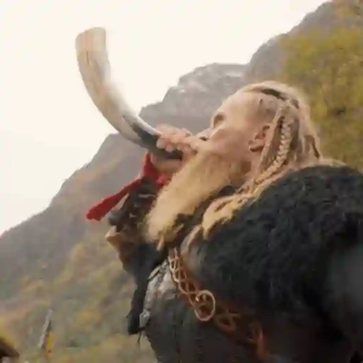 Vikings 12