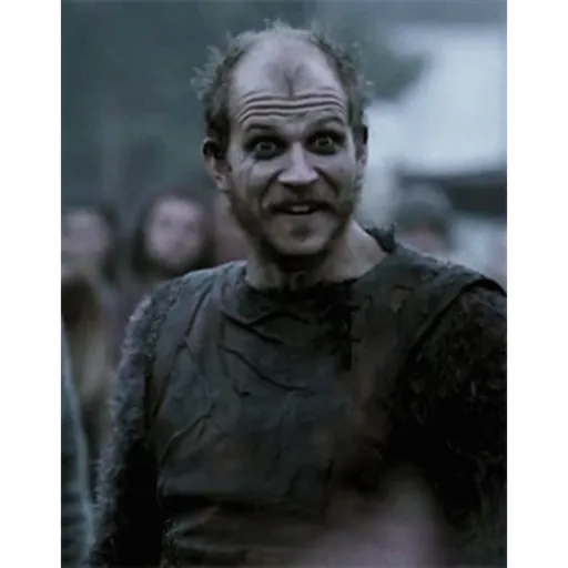 Vikings 15