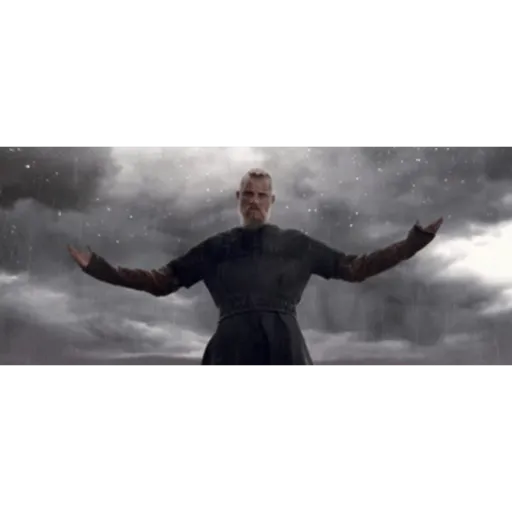 Vikings 21