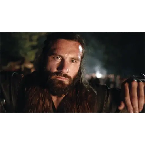 Vikings 17