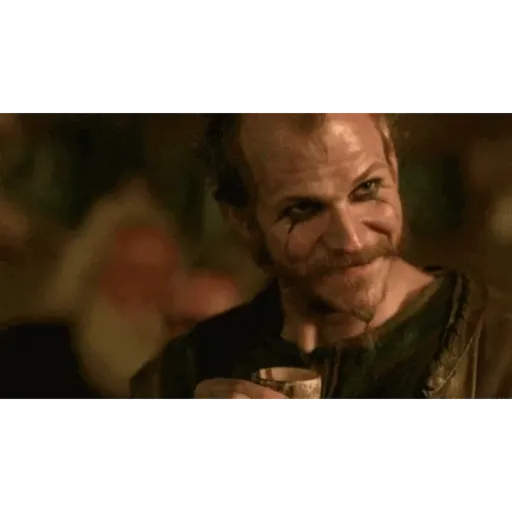 Vikings 14