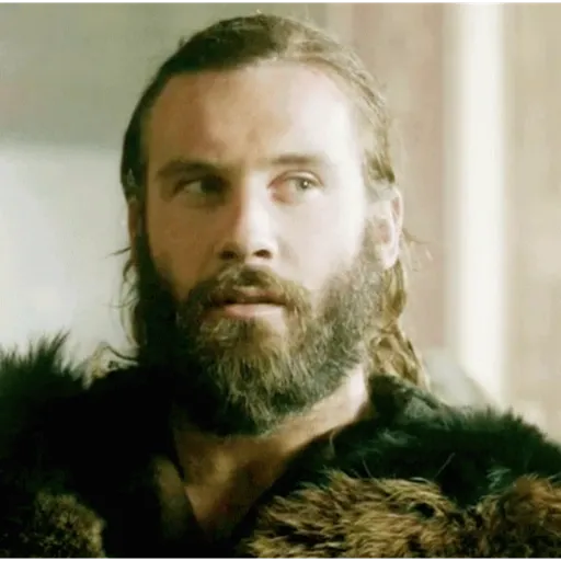 Vikings 16