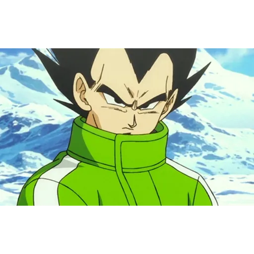 Vegeta 4