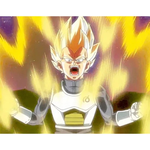 Vegeta 9