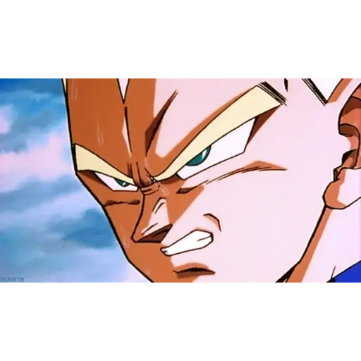 Vegeta 5