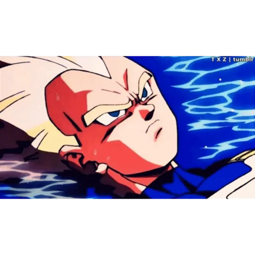 Vegeta 7