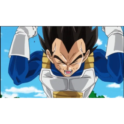 Vegeta 10