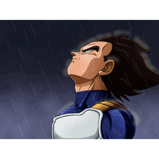 Vegeta 14
