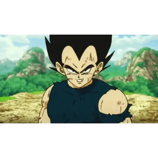 Vegeta 12