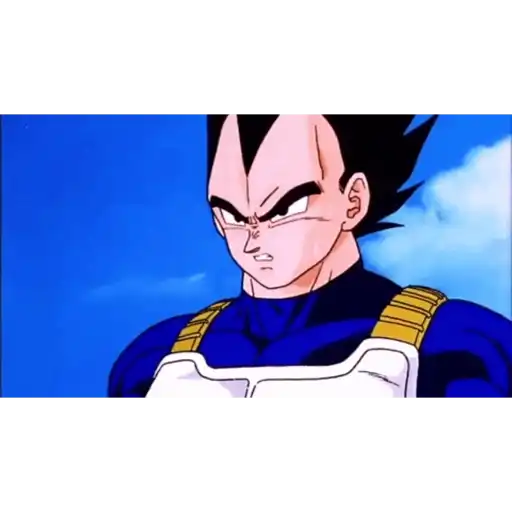 Vegeta 13