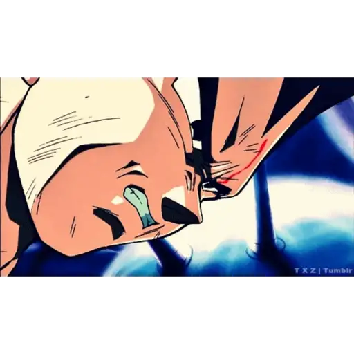 Vegeta 8