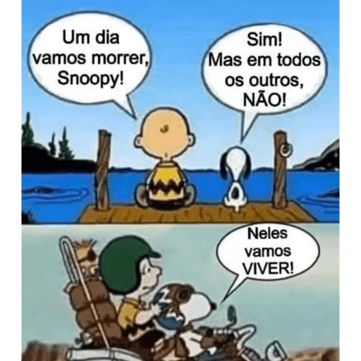 Oficial Sim ☕ 12