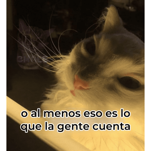 STICKERS PARA REACCIONAR 😁  25