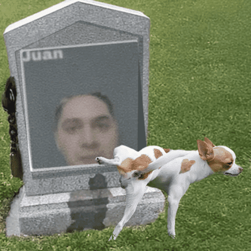 Juan2 2