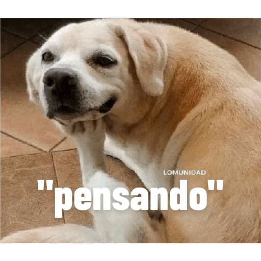 Perros2 5