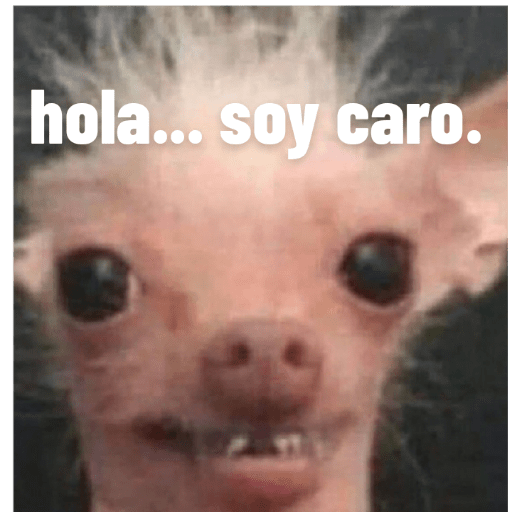 Perros2 6