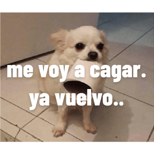 Perros2 4