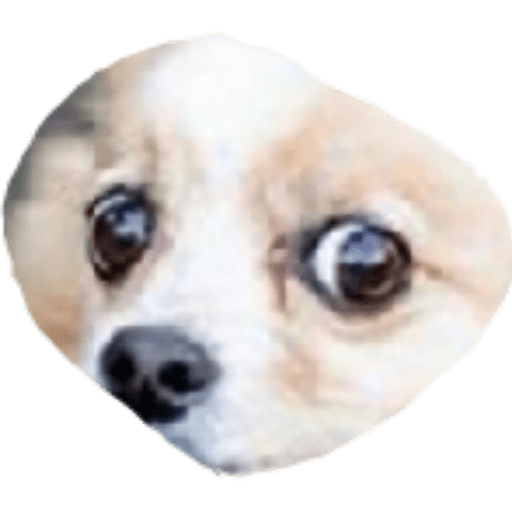 Perros2 9
