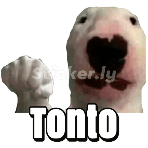 Perros2 23