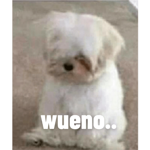 Perros2 15