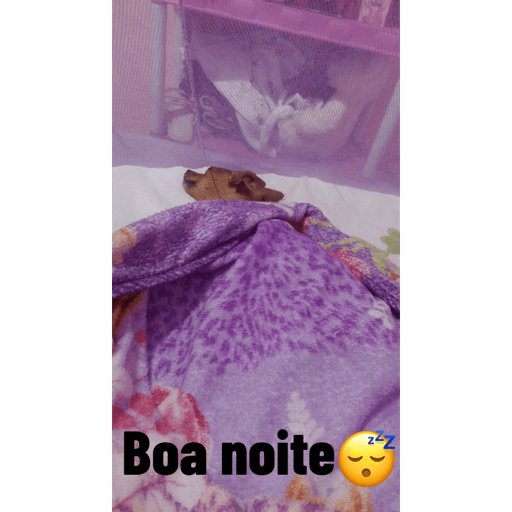 Minhas figurinhas 11