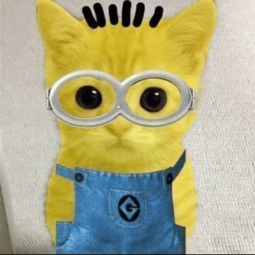 Minions 💗 10