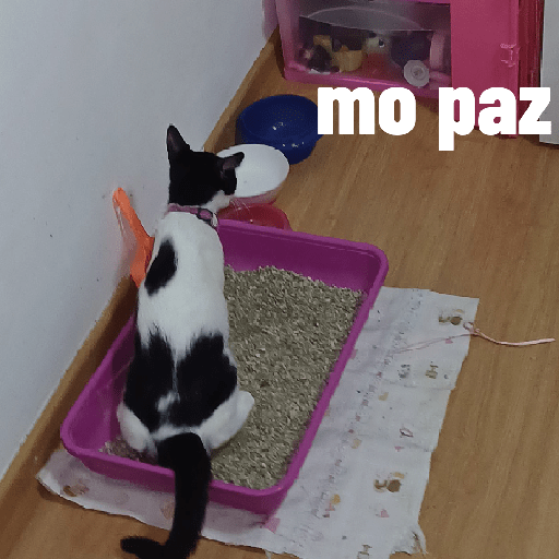 Pelekat 27