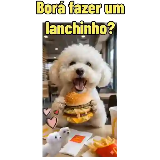Cães e Gatos  6