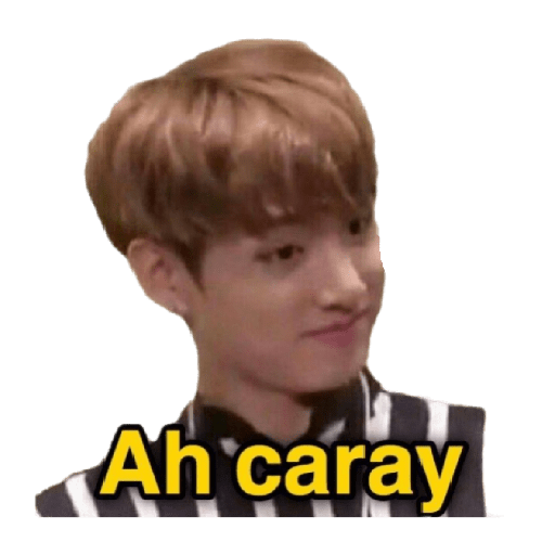 Stikers de bts 28