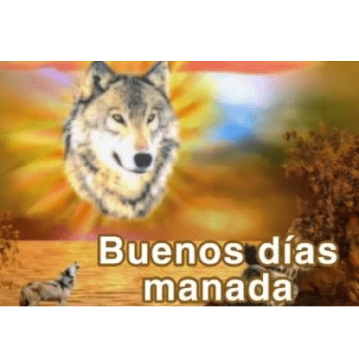 Pasas que cosan 6