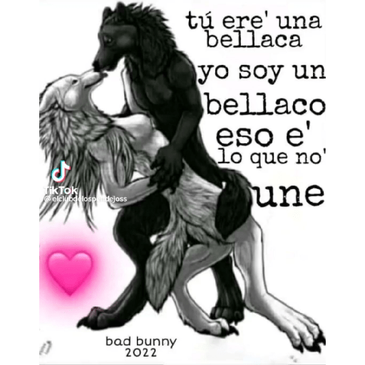 Pasas que cosan 8