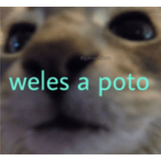 Quiero pito 27