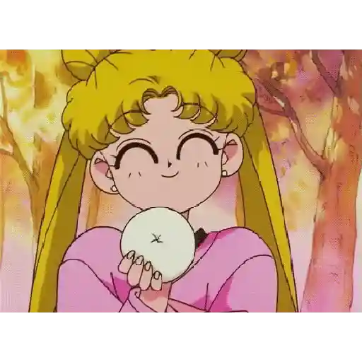 Sailormoon  5