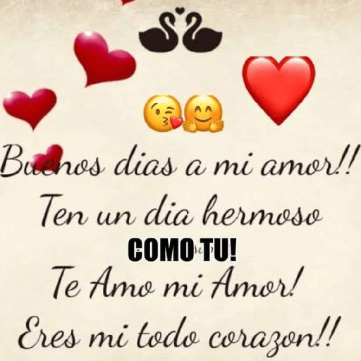 Amor 29