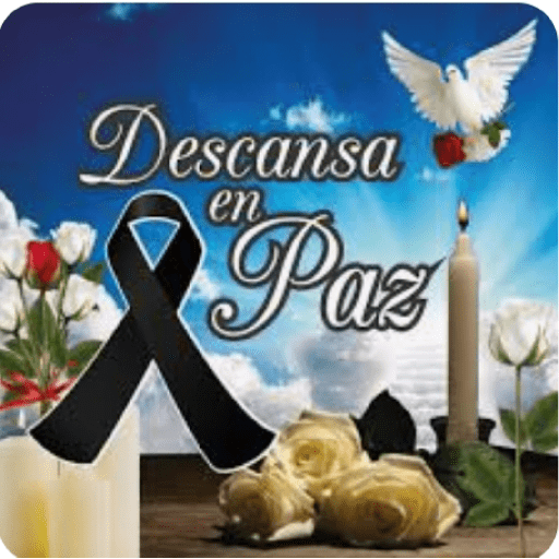 Amor 11