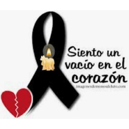 Amor 6