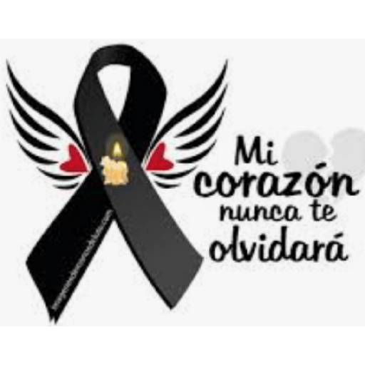 Amor 12