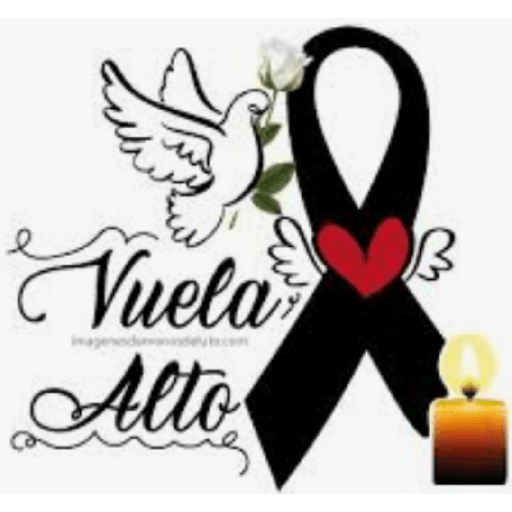 Amor 5