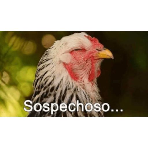 Sospechoso