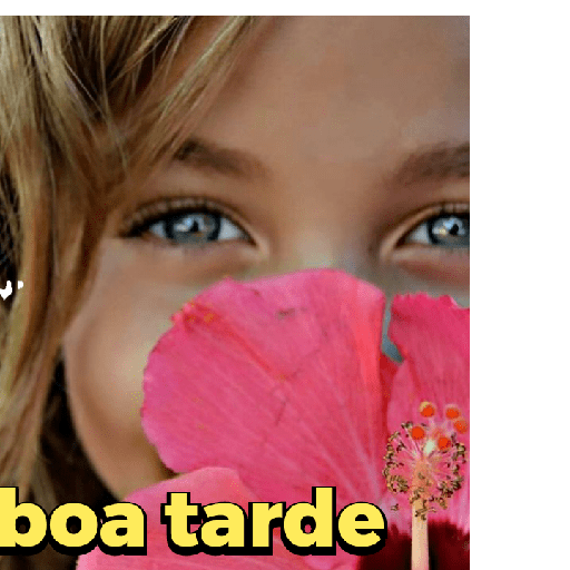 Boa noite 13