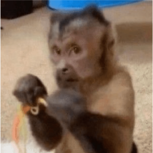 Macaquinhos