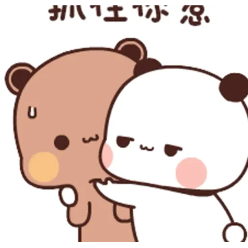 Couples Puffy bear 17